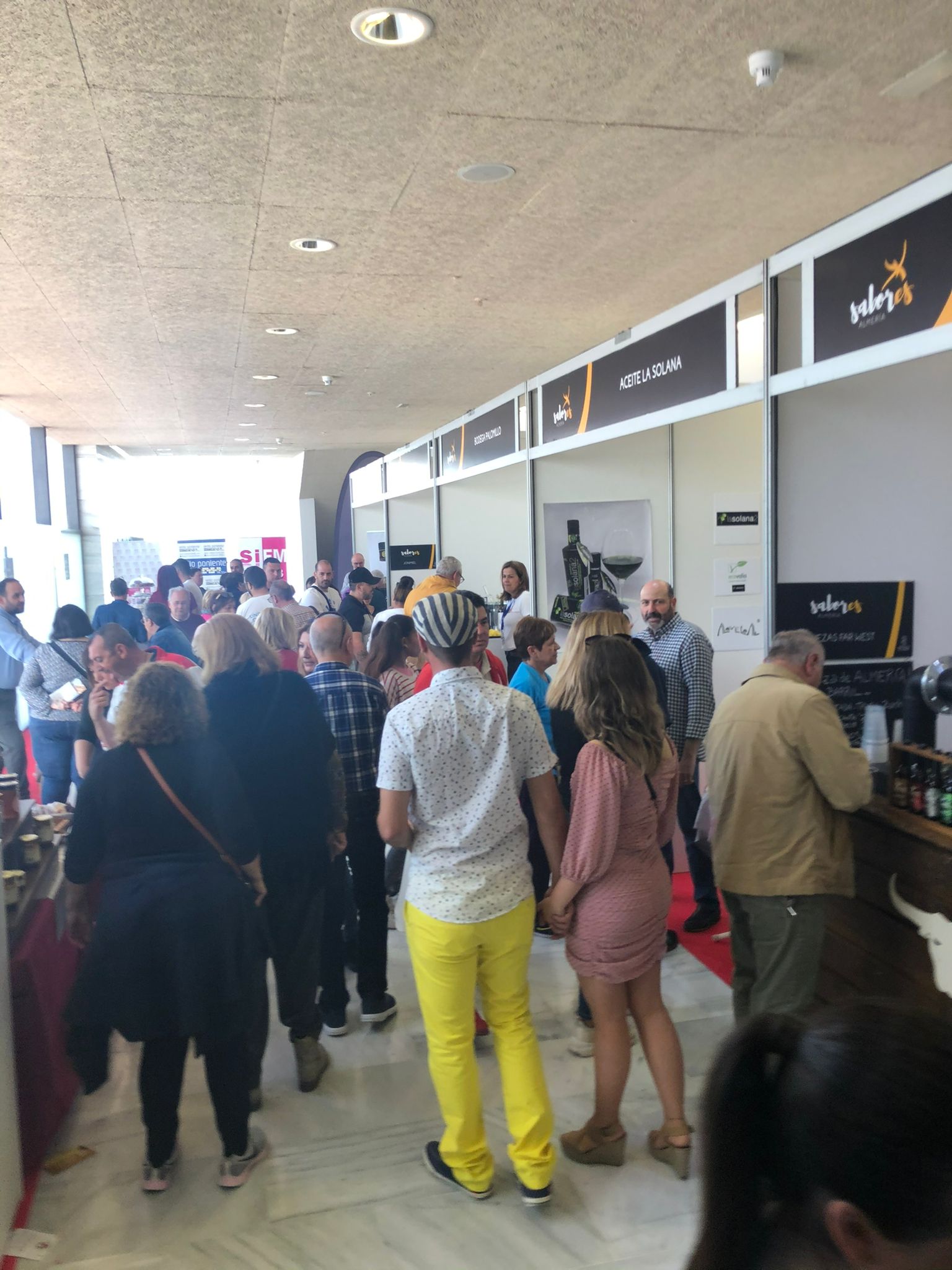 Toyo Ferial Almería — imagen 2
